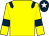 Yellow, dark blue epaulets and armlets, dark blue cap, white star (Nil Sine Labore Partnership)