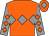 Orange, grey triple diamond, grey sleeves, orange diamonds, orange cap, grey diamond (Kevin Frost Racing Club & M A Humphre)