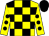 Yellow and black check, yellow sleeves, black spots, black cap (The Fifty Fifty Partnership)