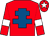 Red, royal blue cross of lorraine, red sleeves, white armlets and star on red cap (All The Kings Horses & Mr Aiden Murphy)