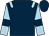 Dark blue, light blue epaulets, light blue sleeves, dark blue armlets (Mr Philip Rocher)