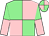 Light green and pink (quartered), halved sleeves (Successio)