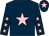 Dark blue, pink star, pink stars on sleeves, pink star on cap (Robert Finnegan)