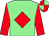 Light green, red diamond & sleeves, quartered cap (Philip Munnelly)