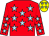 Red, light blue stars, yellow cap, light blue stars (Mr D Coles & Mr M Adams)