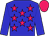 Big-blue body, rose stars, big-blue arms, rose cap (Mlle D Pitart)