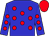 Blue, red spots, red cap (H Bossuet)