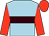 Light blue, brown hoop, flame sleeves and cap (H & H Partnership)