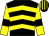 Black, yellow chevrons, yellow sleeves, black armlets, black and yellow striped cap (Mr Aidan J Ryan)