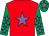 Red, mauve star, emerald green sleeves, mauve stars, emerald green cap, mauve star (Mr K Reece)