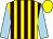 Yellow and brown stripes, light blue sleeves, yellow cap (Mrs J A Thomas Mr S Fiddes & Mr J Bees)
