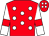 Red, white spots, white sleeves, red armlets (Last Day Racing Partnership)
