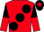 Red, large black spots, halved sleeves, black cap, red star (Mulvany's Bar Syndicate)