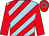 Light blue, red diagonal stripes, red sleeves, red cap, light blue hoop (Ecurie M J Ruault)