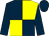 Dark blue and yellow (quartered), dark blue sleeves and cap (Mr H Posner)