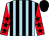 Light blue and black stripes, red sleeves, black stars, black cap (Harp Racing)