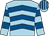 Light blue, royal blue chevrons, hooped sleeves, striped cap (Mr L H & Mrs T Evans)
