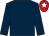 Dark blue, red cap, white star (Miss Stephanie V Schilcher)