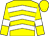 Yellow, white chevrons and armlets (Dr Edna Robson And Partner)