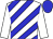 White, blue diagonal stripes, white sleeves, blue cap (Mr J G Armstrong, Mrs S P Kruyer, Mr B G & Mrs J L)