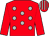 Red, light grey spots, red sleeves, striped cap (Ecurie Franck Pellerot)