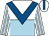 White & light blue halved horizontally, royal blue chevron, white & light blue striped sleeves, royal blue stripe on white cap (Waterfalls Syndicate)