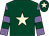 Dark green, beige star, mauve and dark green hooped sleeves, dark green cap, beige star (The As You Like It Syndicate)