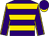 Purple and gold hoops, purple sleeves, gold seams, purple cap, gold peak (Mesdames C R A Kingham, J G Guthrie & D Jackson)