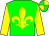 Green, yellow fleur de lys and sleeves, quartered cap (Mrs R L Hughes)