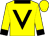 Yellow, black v bib, yellow sleeves, black collar and cuffs, yellow cap (Messrs K A Ungerer, F M Carruthers, P B Hosking, G)