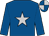 Royal blue, silver star, quartered cap (Pipannsue Partnership)