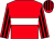 Red, white hoop, red and black striped sleeves and cap (Burr & Dudwell Racing)
