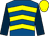 Royal blue, yellow chevrons, dark blue sleeves, yellow cap (Mr R Michael Smith)