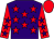 Purple, red stars, red sleeves, purple stars, red cap (The Park Homes Syndicate)