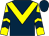 Dark blue, yellow chevron, yellow and dark blue chevrons on sleeves (Mr L P Richards)