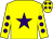 Yellow, purple star, yellow sleeves, purple spots, yellow cap, purple stars (Suzanne & Nigel Williams)