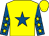Yellow, royal blue star, royal blue sleeves, yellow stars and cap (B Allen, G Hill & N Wagland)