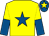 Yellow, royal blue star, halved sleeves, royal blue cap, yellow star (Mr K Nicholls)