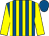 Royal blue and yellow stripes, yellow sleeves, royal blue cap (Smith Evans Bevan Browne Thorne Farm)