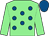 Light green, royal blue spots, light green sleeves, royal blue cap (Wheres My Stable Syndicate)