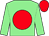 Light green, red disc, red cap (Mr B Piper & Mr D Cobill)