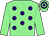 Light green, purple spots, light green sleeves, hooped cap (Mr S Barton & Mr P Shields)