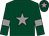 Dark green, grey star, armlets and star on cap (Mr C Lynn)