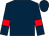 DARK BLUE, RED armlets (West Buckland Bloodstock Ltd)