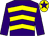 Purple, yellow chevrons, purple sleeves, yellow cap, purple star (Gascoigne, Brookes & Barker)