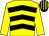 Yellow, black chevrons, yellow sleeves, striped cap, black peak (Messrs N R Tovey, C M Hill & C J Williamson)