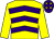 Yellow & purple chevrons, yellow sleeves, purple cap, yellow stars (Dogs To Horses Syndicate)