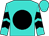 Turquoise, black ball, black chevrons on sleeves (Mountain View Racing LLC)