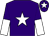 Purple, white star, halved sleeves and star on cap (Mr P Rees)