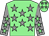 Light green, grey stars, grey sleeves, light green stars, light green cap, grey stars (Hasson Syndicate)
